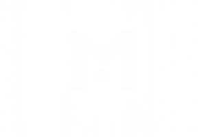 logo mon expert paie